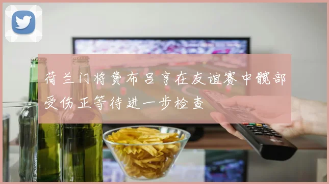 荷兰门将费布吕亨在友谊赛中髋部受伤正等待进一步检查