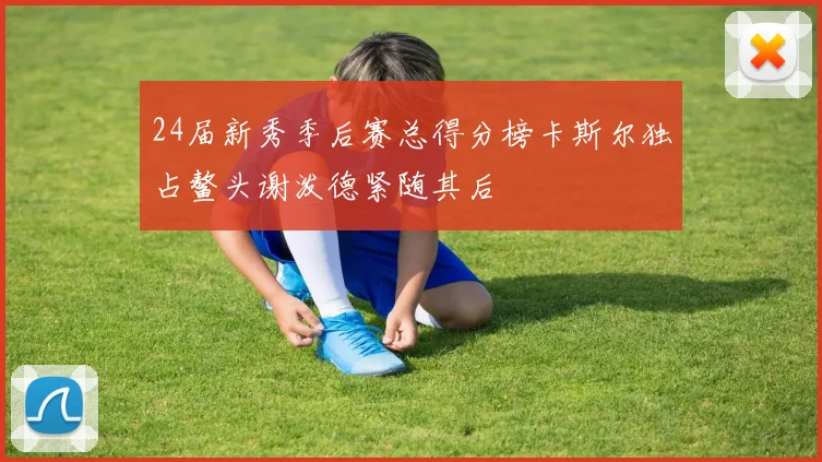 24届新秀季后赛总得分榜卡斯尔独占鳌头谢泼德紧随其后